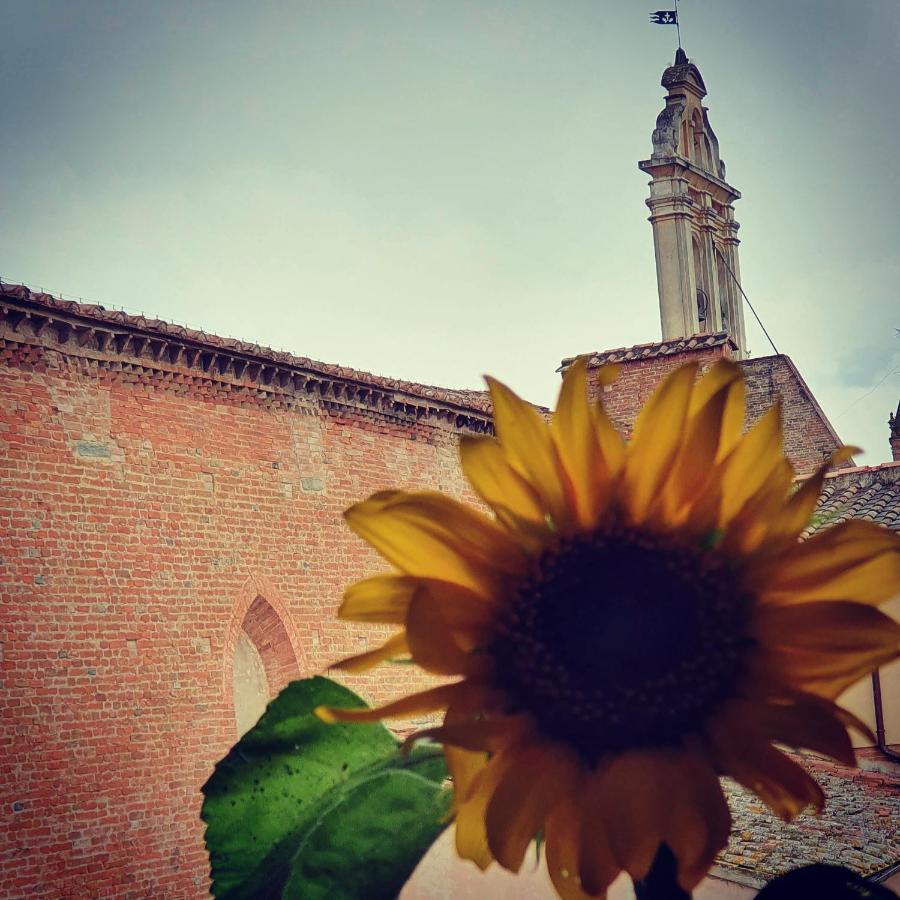 Appartaments San Francesco Castelfiorentino Kültér fotó